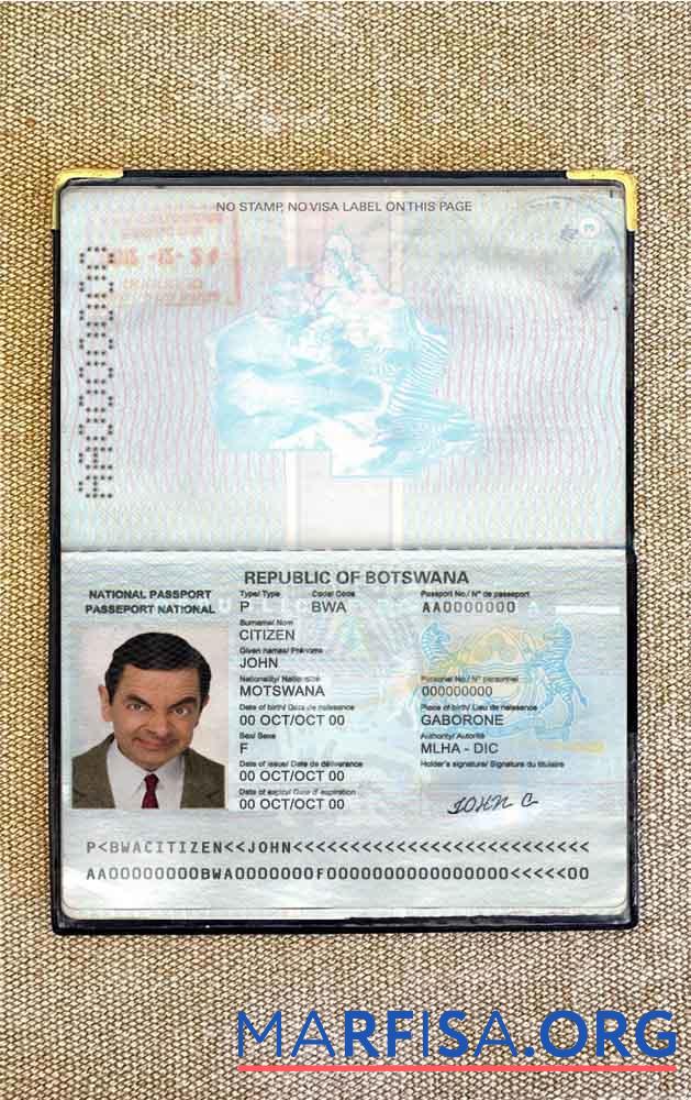 Downloadable Botswana passport photo look real example
